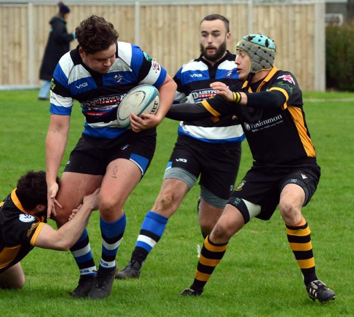 Seagulls on the attack. Picture Gordon Thomas Seagulls on the attack. Picture Gordon Thomas